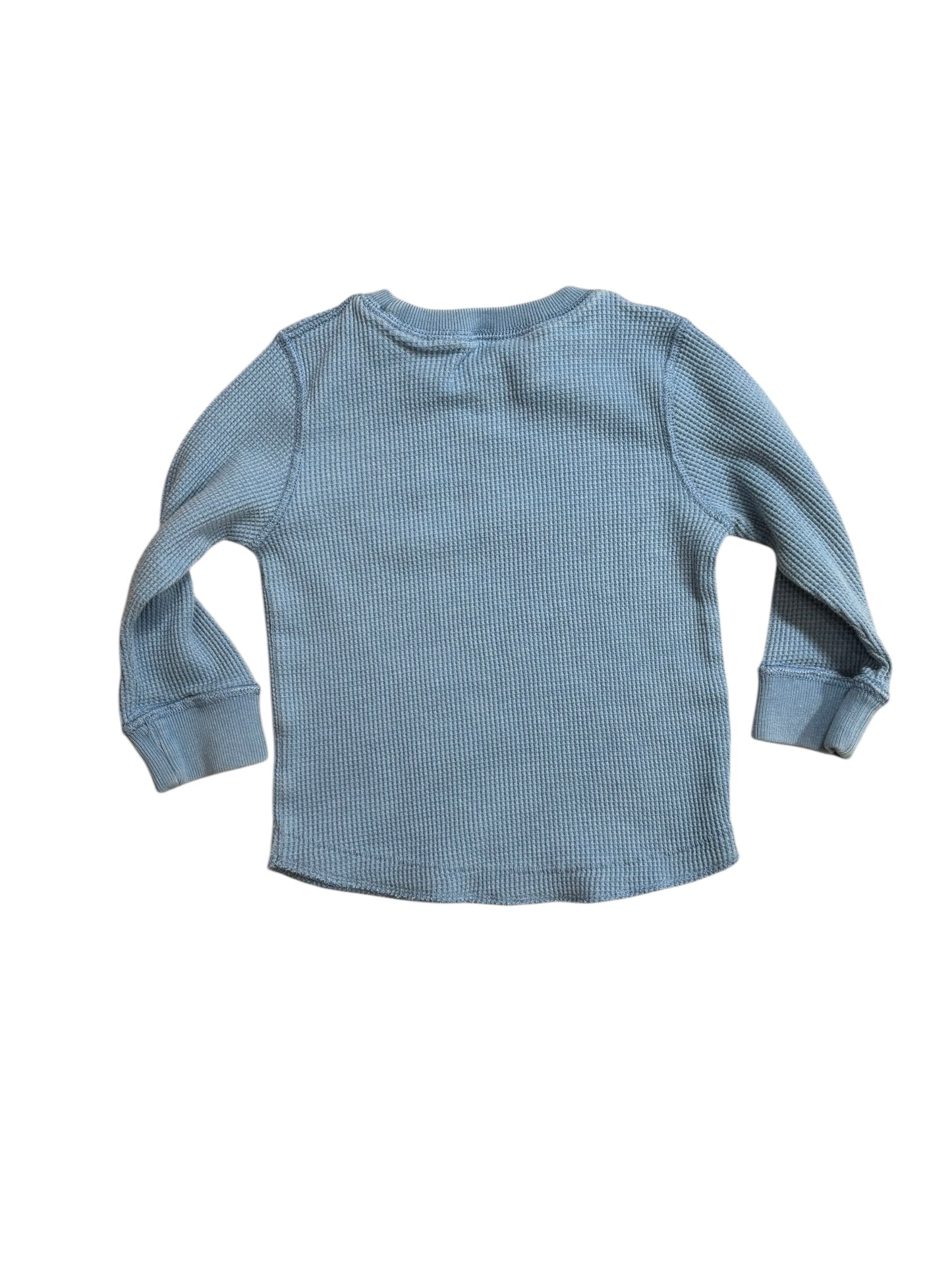 Children's Place Tiger Long Sleeve