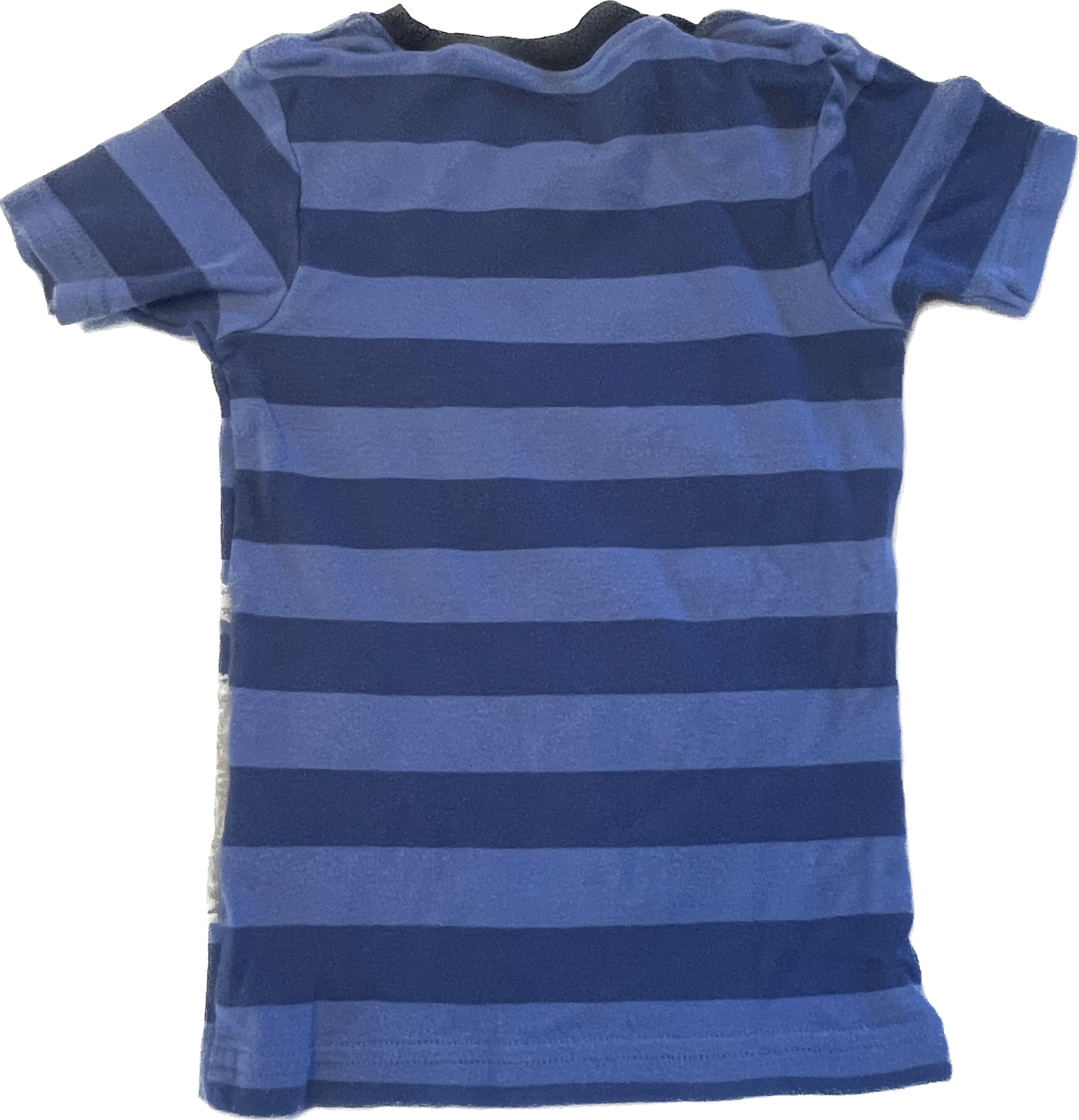 Carter Whale T-Shirt