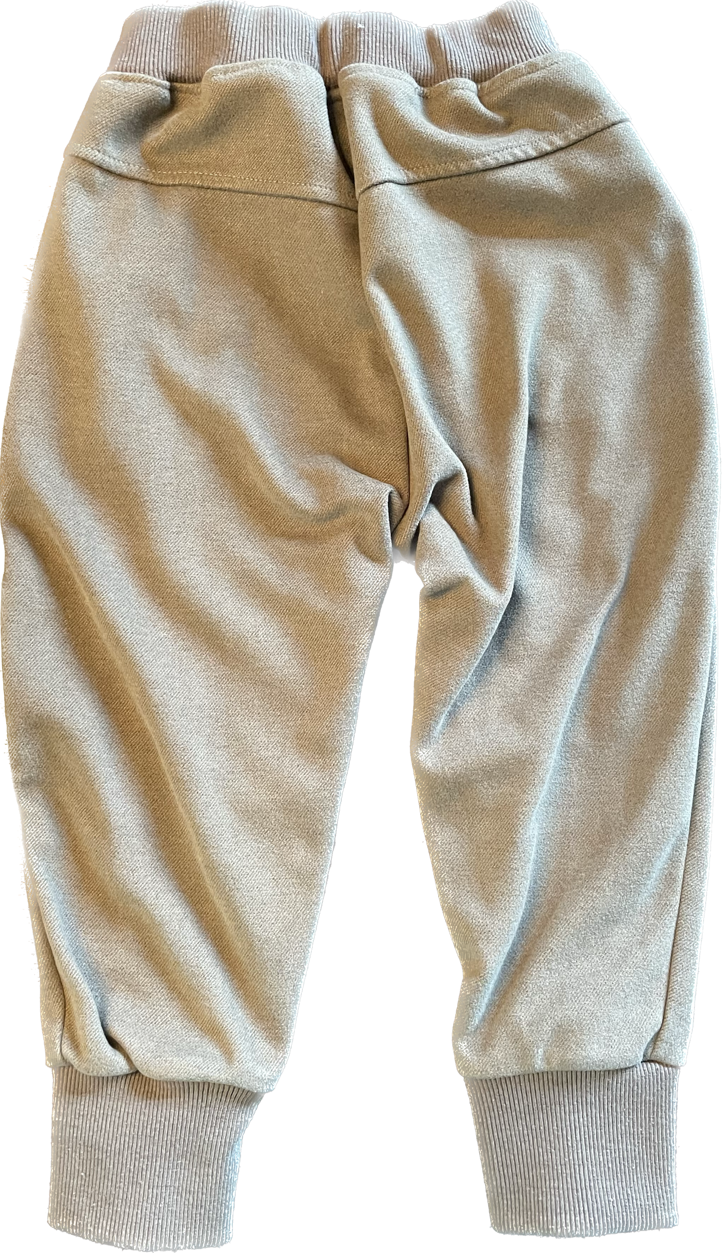 Dinosaur Sweat Pants