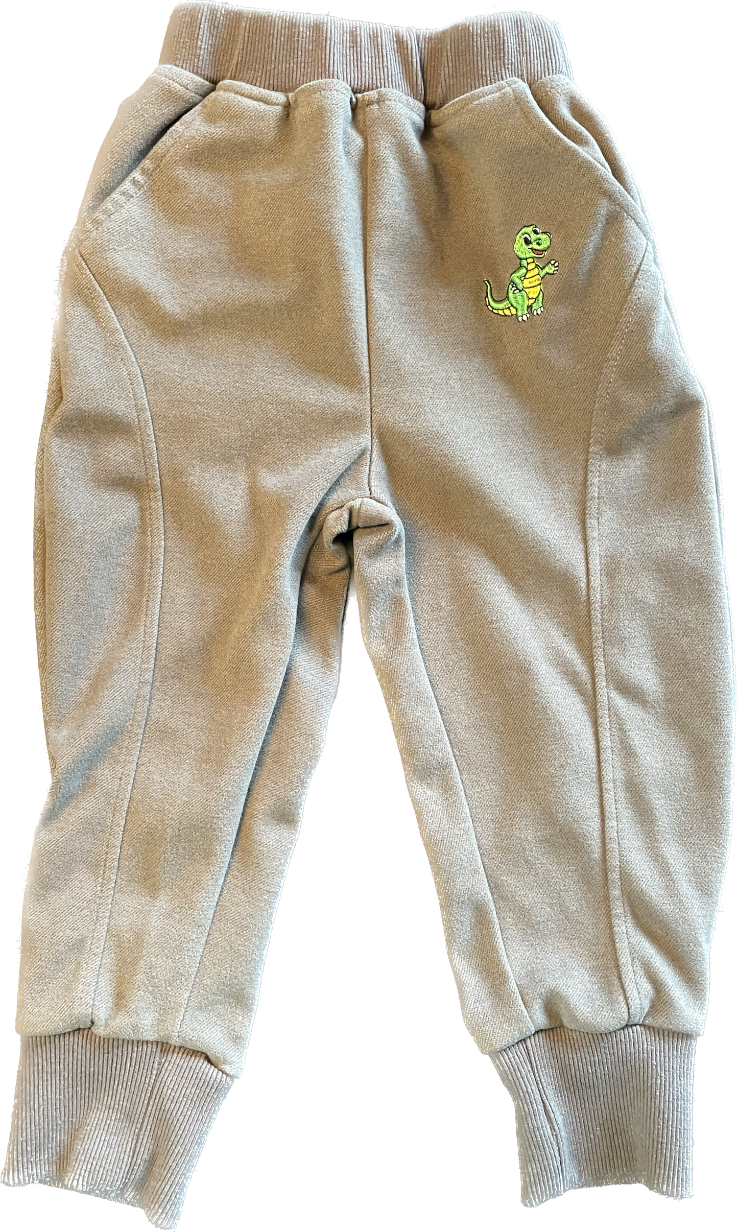 Dinosaur Sweat Pants