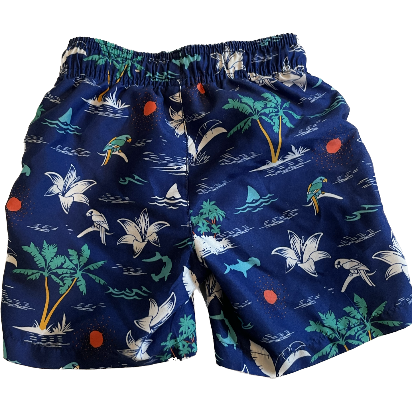 Swimming shorts