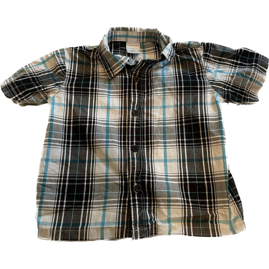 Short Sleeve button up shirt