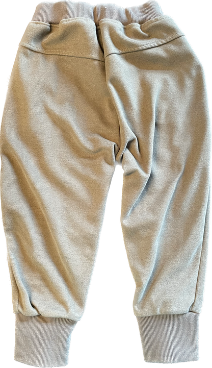Dinosaur Sweat Pants